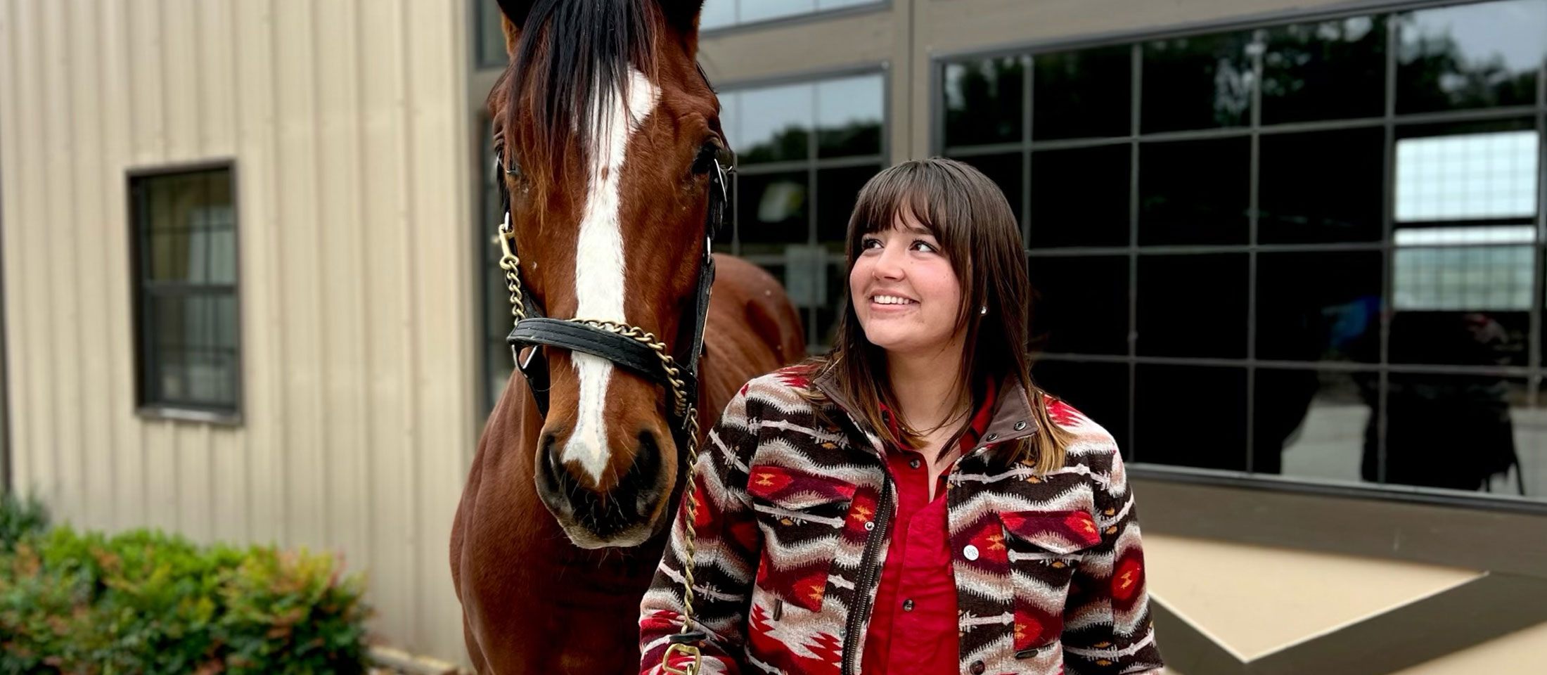 Abby looking at a Philly or colt standing outside the barn.